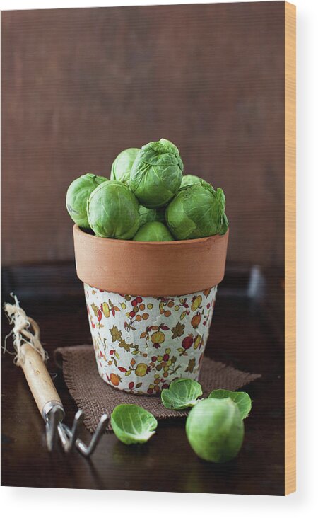Brussels Sprout Wood Print featuring the photograph Brussels Sprouts by Yelena Strokin