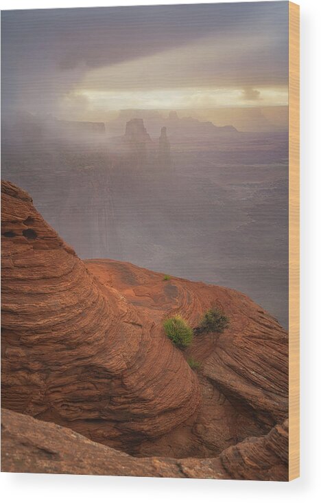 Utah Wood Print featuring the photograph Canyon Moods by Darren White