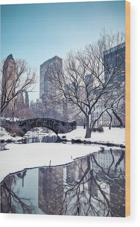 Scenics Wood Print featuring the photograph Central Park In Winter by Pawel.gaul