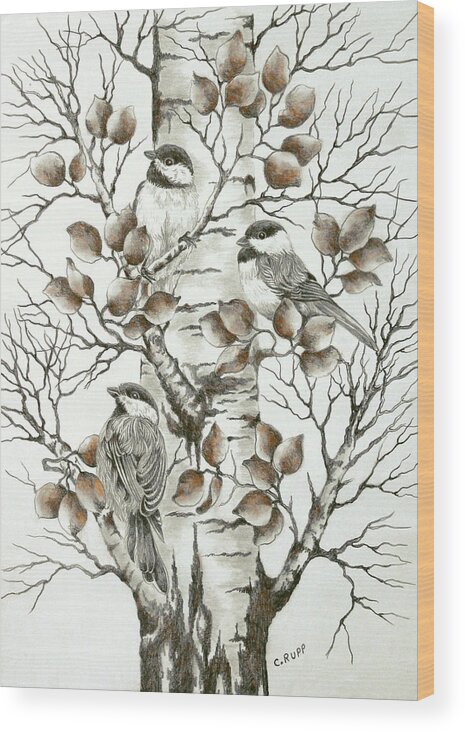 Chickadee Trio 5 Wood Print featuring the painting Chickadee Trio 5 by Carol J Rupp