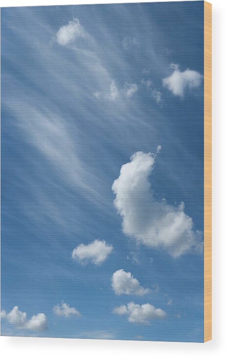 Silence Wood Print featuring the photograph Cloudscape Image Size Xxxl by Rotofrank