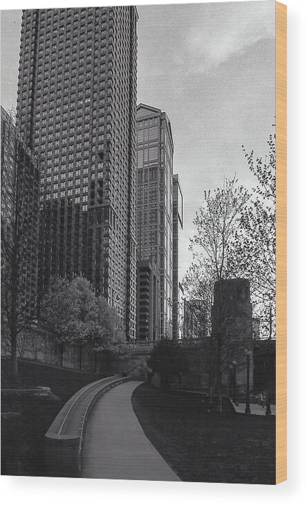 Chicago Wood Print featuring the photograph Come on Up by Laura Hedien