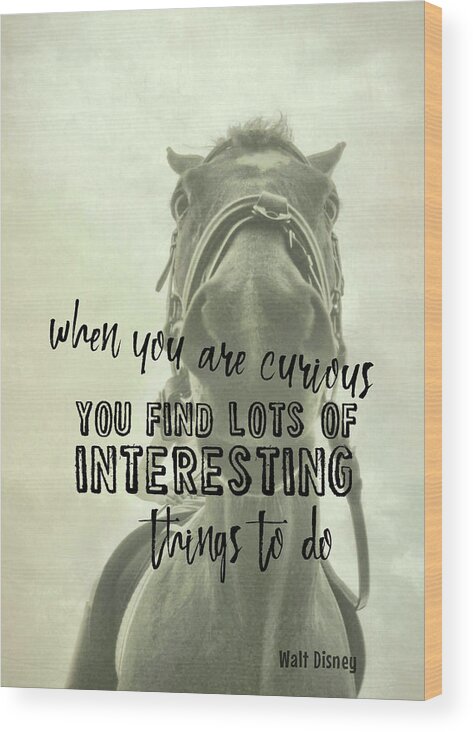 Are Wood Print featuring the photograph CURIOUS KIRBY quote by Dressage Design