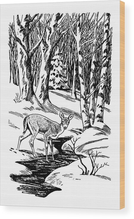Animal Wood Print featuring the drawing Deer in Forest by CSA Images