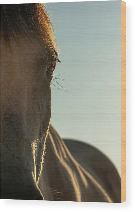 Horse Wood Print featuring the photograph Eye See You by Bari Rhys