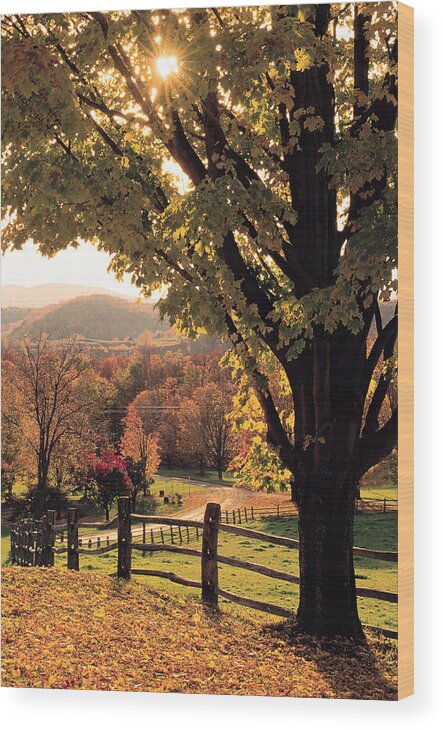 Scenics Wood Print featuring the photograph Fall Landscape , Woodstock , Vermont by Comstock