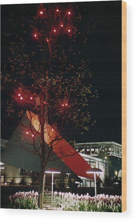 1950-1959 Wood Print featuring the photograph Festival Lights by Raymond Kleboe