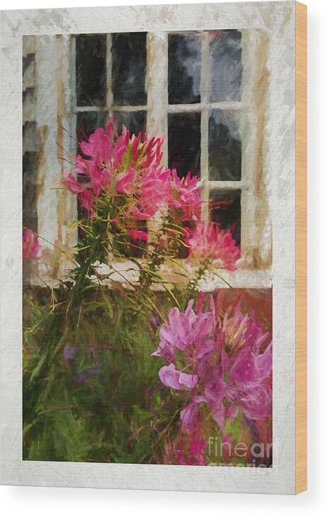 Flower Wood Print featuring the photograph Flower by the Window by JBK Photo Art
