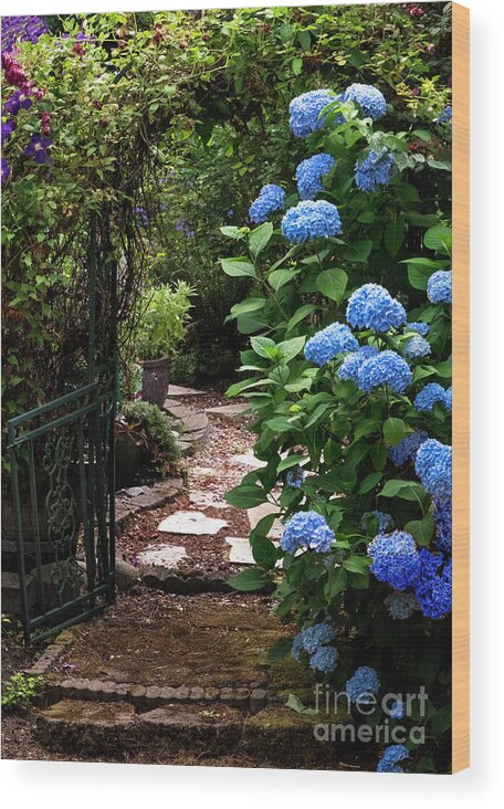 Garden Wood Print featuring the photograph Garden Gate by Louise Magno