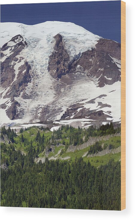 Glacier Wood Print featuring the photograph Glaciated summit of the mountain rises from forests by Steve Estvanik