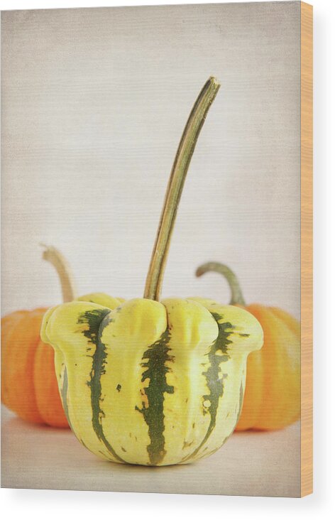 Gourds 1 Wood Print featuring the photograph Gourds 1 by Jessica Rogers