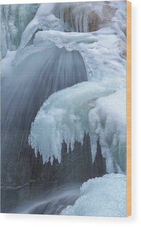 Ice Wood Print featuring the photograph Iced by Darren White