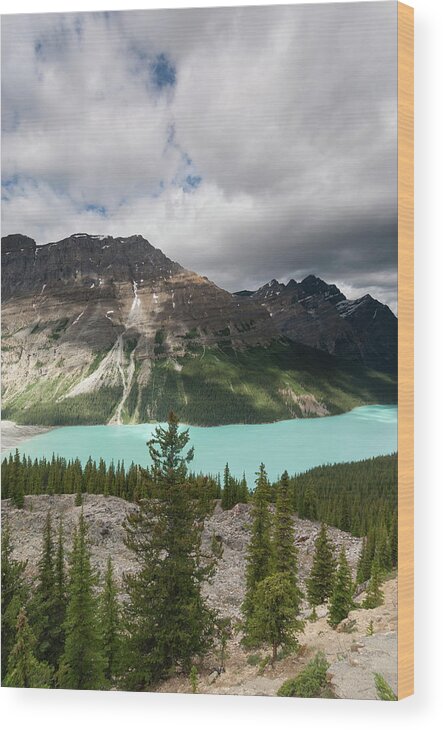 Scenics Wood Print featuring the photograph Icefields Parkway, Bow Pass, Peyto Lake by John Elk Iii