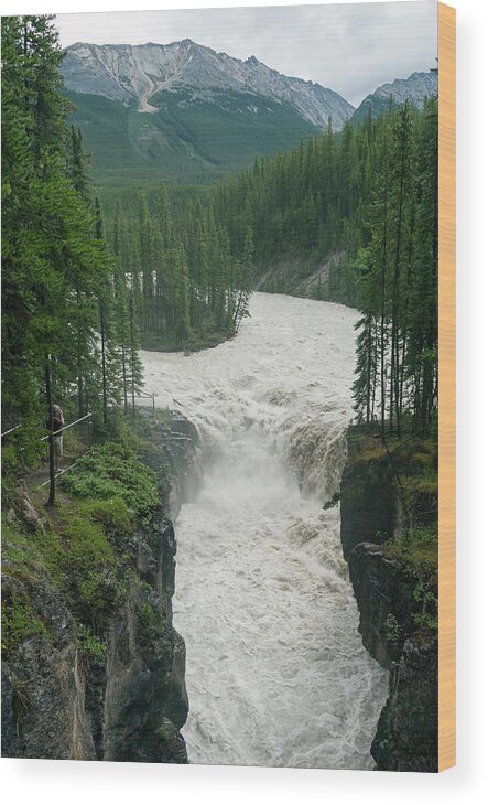 Scenics Wood Print featuring the photograph Icefields Parkway, Sunwapta Falls by John Elk Iii