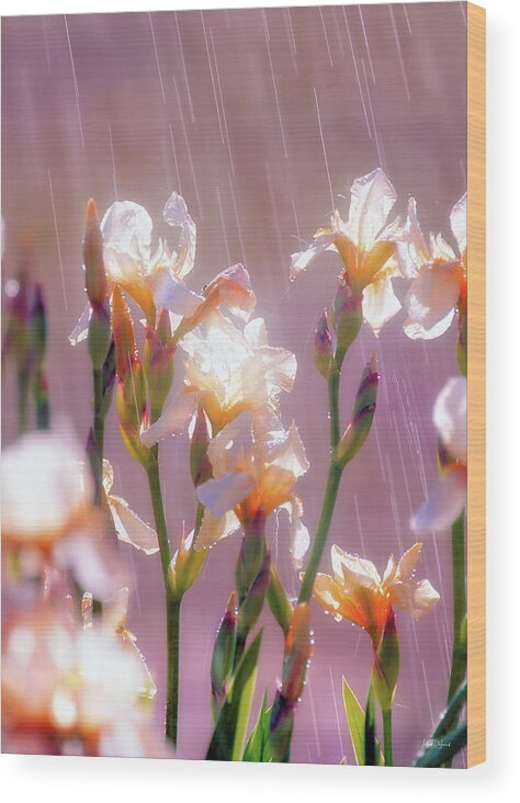 Beautiful Wood Print featuring the photograph Iris in Rain by Leland D Howard