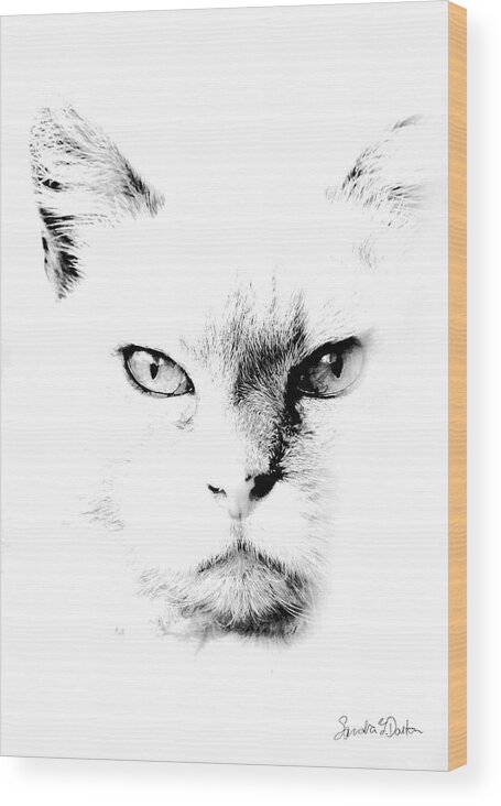 Cat Art Wood Print featuring the photograph Iris by Sandra Dalton