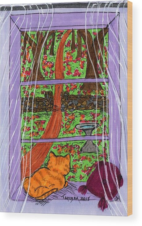 Tiger Wood Print featuring the photograph Kitty Watching Autumn by Tambra Wilcox