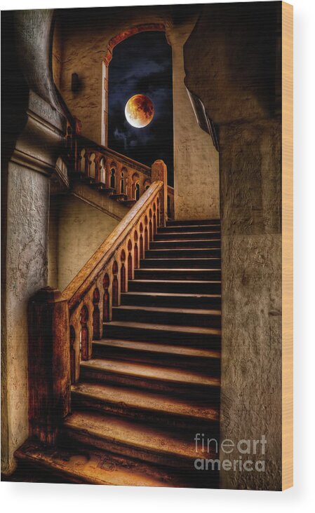 Kuala Lumpur Wood Print featuring the photograph KTM Stairway Moon by Adrian Evans