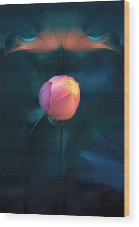 Lotus Wood Print featuring the photograph Lotus Lantern by Catherine W.