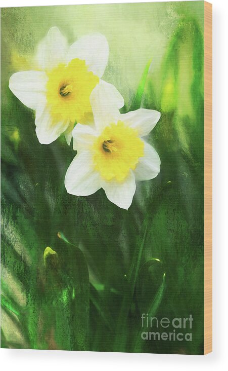 Daffodils Wood Print featuring the photograph Lovely Painted Daffodil Pair by Anita Pollak