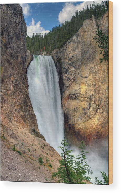 Majestic Wood Print featuring the photograph Lower Falls, Grand Canyon Of Yellowstone by Jill Clardy