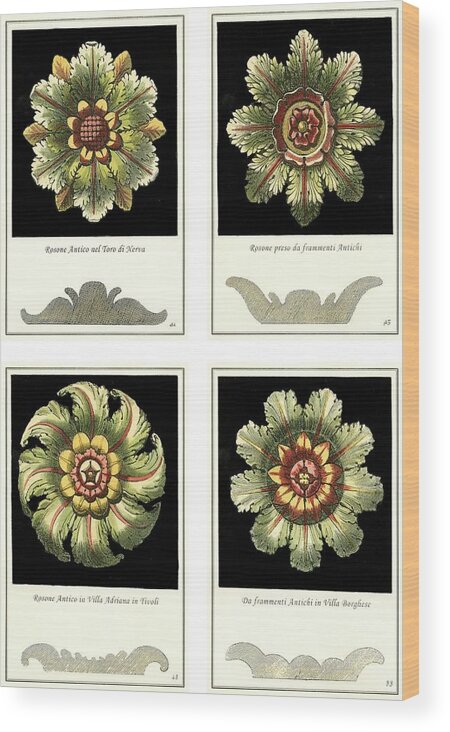 Decorative Elements Wood Print featuring the painting Mini Rosettes by Unknown