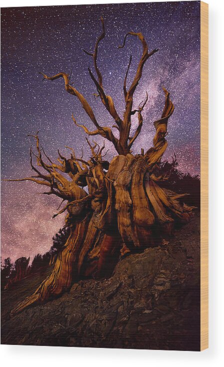 White Wood Print featuring the photograph Mountain Sentinel by Doug Solis