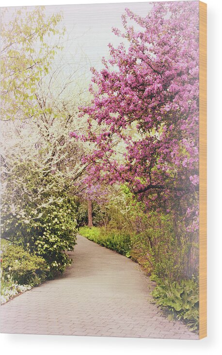 Spring Wood Print featuring the photograph Pastel Spring Garden by Jessica Jenney