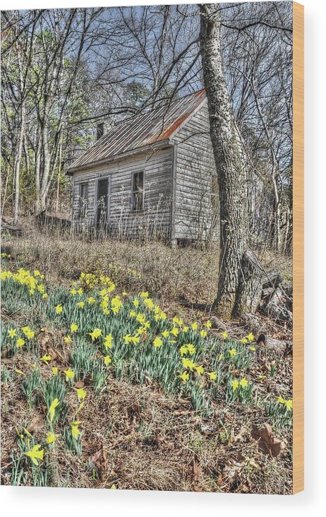 Spring Wood Print featuring the photograph New Among The Old by Randall Dill