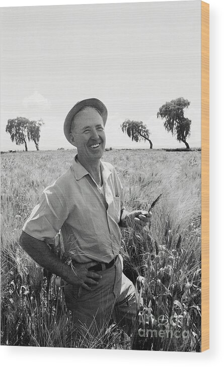 People Wood Print featuring the photograph Norman Borlaug by Bettmann
