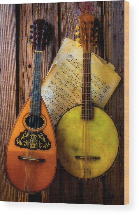 American Wood Print featuring the photograph Old Banjo And Mandolin by Garry Gay