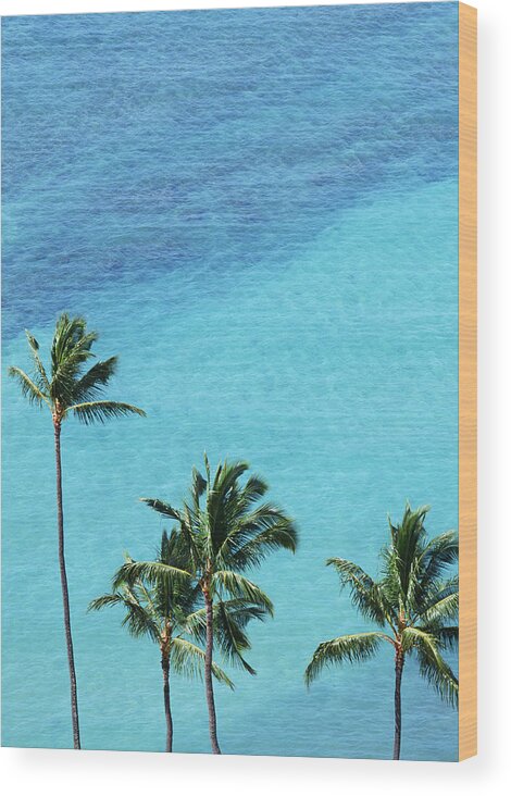 Tropical Tree Wood Print featuring the photograph Palm Trees And Surface Of The Sea by Imagenavi