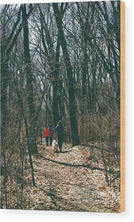  Nature Wood Print featuring the photograph Perfect Moment by Frank J Casella