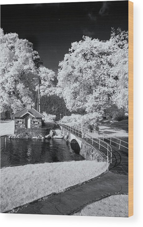 St Lawrence Seaway Wood Print featuring the photograph Pump House In Black And White by Tom Singleton