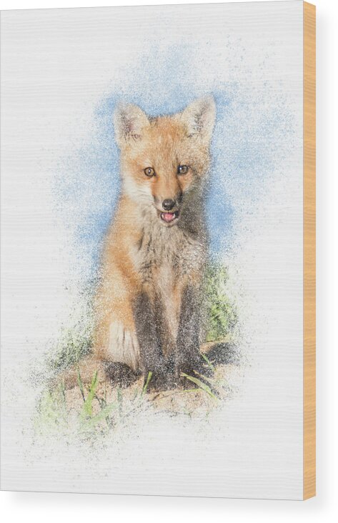 Fox Wood Print featuring the photograph Red Fox Kit #1 - Sitting Tall by Patti Deters