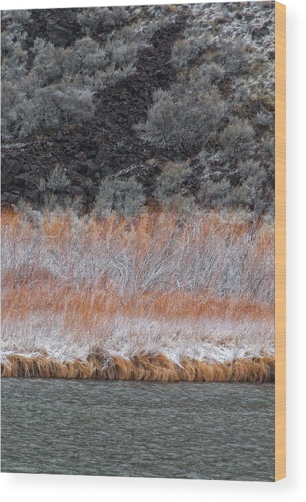 Winter Wood Print featuring the photograph Red Willow Rio by Britt Runyon