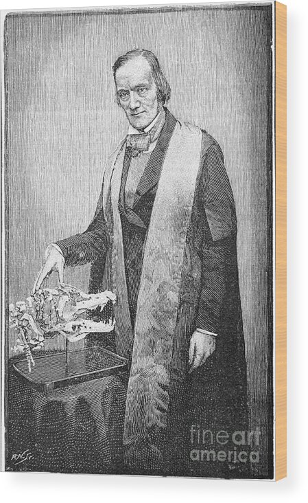 Engraving Wood Print featuring the drawing Richard Owen, British Naturalist, C1856 by Print Collector