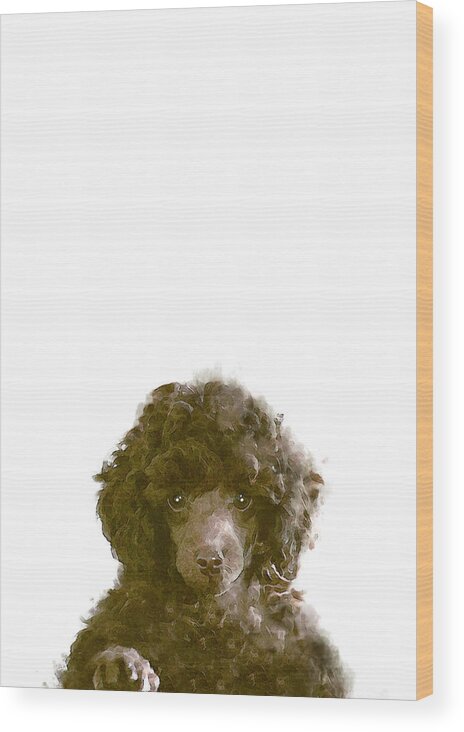 Dog Wood Print featuring the photograph The Dog by 1x Studio Ii