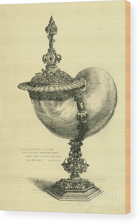 Metalwork Wood Print featuring the drawing Trochus Shell Cup And Lid by Print Collector