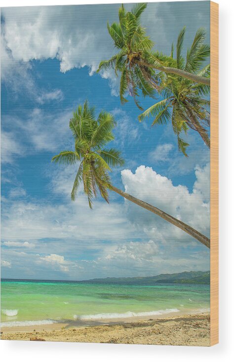 00581352 Wood Print featuring the photograph Tropical Beach, Siquijor Island, Philippines by Tim Fitzharris