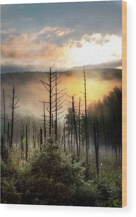 Swamp Wood Print featuring the photograph Vermont Swamp At Sunrise by Stephen Goodhue