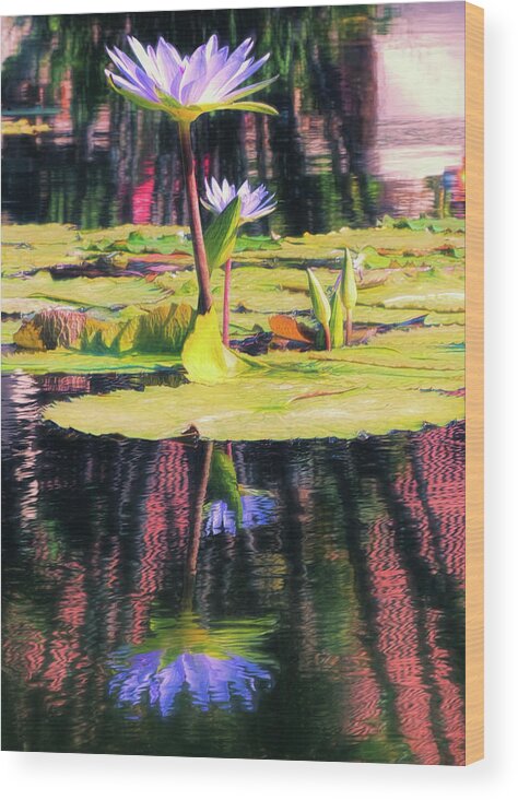 California Wood Print featuring the photograph Water Lily 12 by Claude LeTien