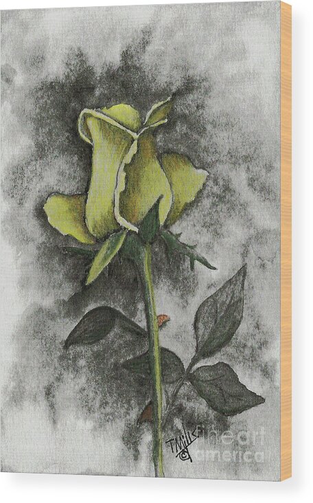 Drawing Wood Print featuring the drawing Yellow Rosebud by Terri Mills