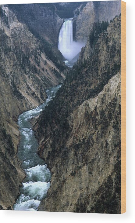 Scenics Wood Print featuring the photograph Yellowstone Canyon by Aimintang