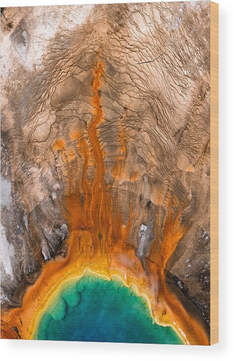 Yellowstone Wood Print featuring the photograph Yellowstone Palette by Gerald Macua