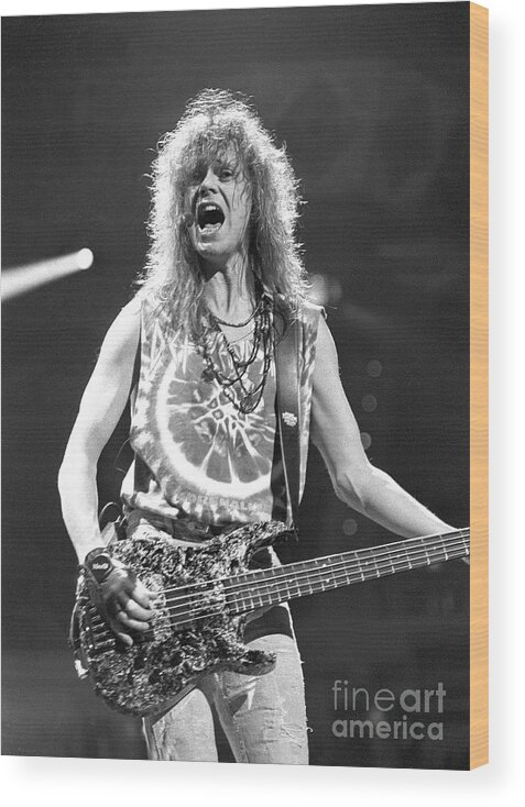 Bass Guitarist Wood Print featuring the photograph Rick Savage - Def Leppard #3 by Concert Photos