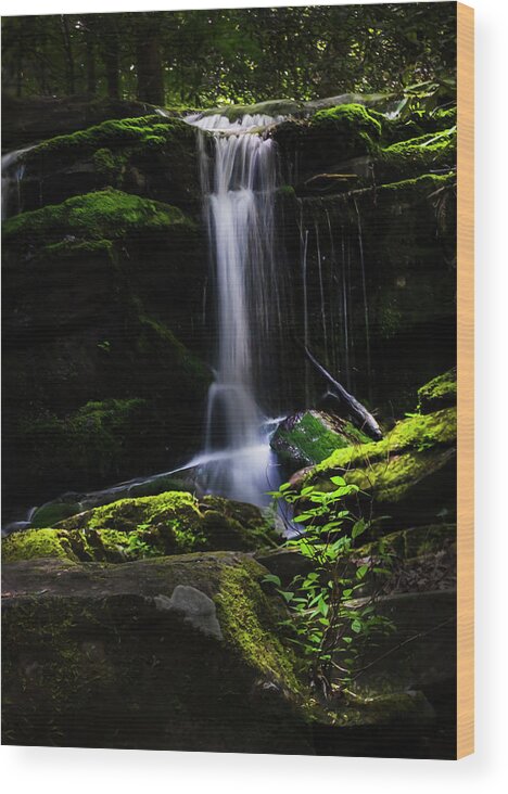 Smoky Mountains Wood Print featuring the photograph Smoky Mountains Spring Water #1 by Theresa D Williams