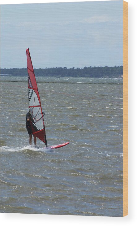  Wood Print featuring the photograph Windsurfing by Heather E Harman