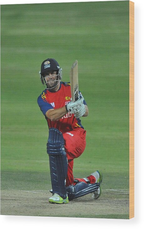Cow Wood Print featuring the photograph CLT20 2012 - Highveld Lions v Mumbai Indians #6 by Gallo Images