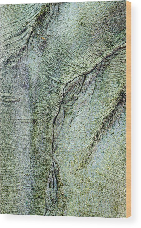 Tree Wood Print featuring the photograph Abstract In The Tree Bark by Gary Slawsky